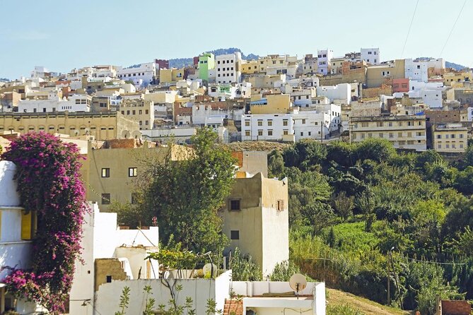 A Guided Day on Foot to Visit the Medina of Fes - Good To Know