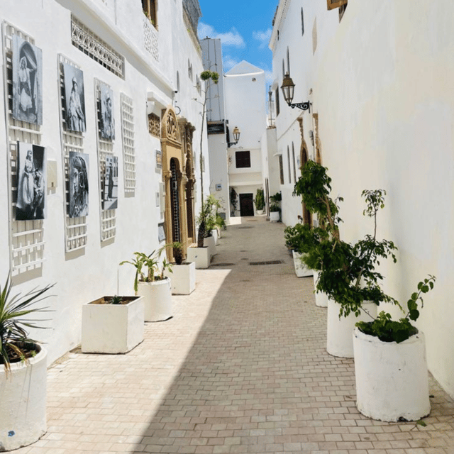A Guided Day Trip to Tetouan and Chefchaouen From Tangier - Key Points