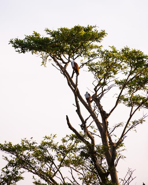 A Hidden Gem in Sigiriya: Magical Boat Journey. - Community Involvement