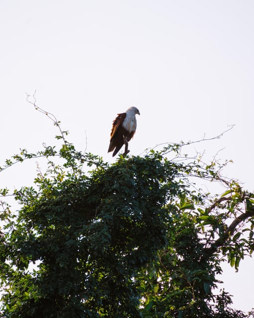 A Hidden Gem in Sigiriya: Magical Boat Journey. - Frequently Asked Questions