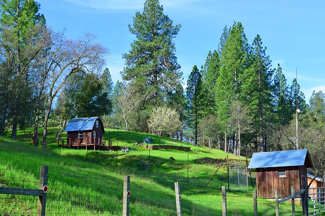 A Highway 49 Drive: a Self-Guided Audio Tour From Placerville to Jackson - Things To Known