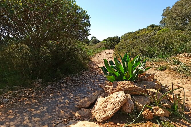 A Hike to the Devils Saddle - Sweeping Views Over Poetto Beach