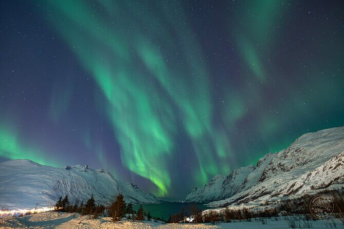 "a journey in search of the Northern Lights" | Private - Who Should Consider This Tour?