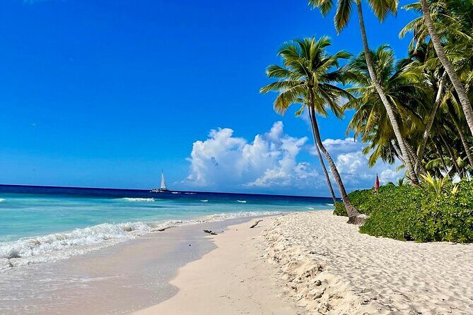 A Magical Day on Saona Island - Key Points