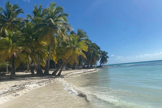 A Magical Day on Saona Island - The Experience in Detail
