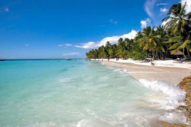 A Magical Day on Saona Island - Who Will Love This Tour?