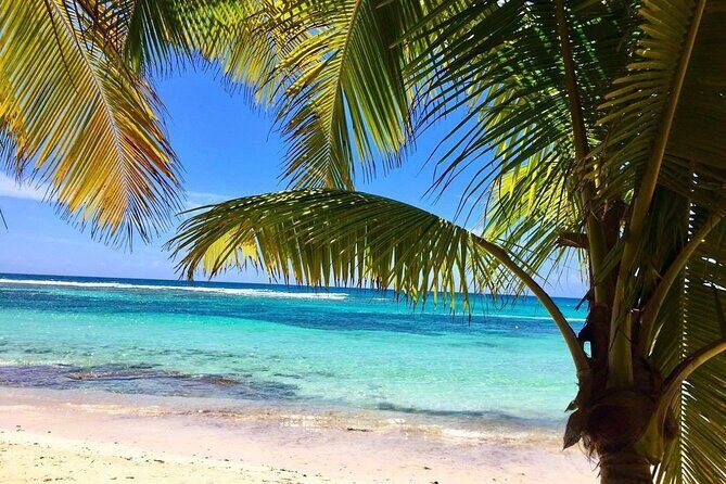 A Magical Day on Saona Island - FAQ