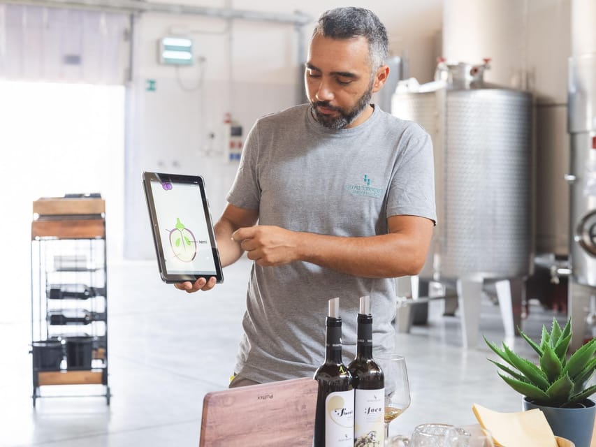 A Morning With the Winemaker - Experience Overview