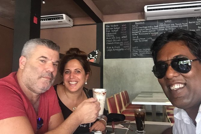 A Multi Day Tour Around Sri Lanka With Our Personal Driver - Vehicle and Accommodations