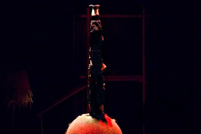 A O Show - Lune Production Included Pick Up And Drop Off - Tips for Attending the Show