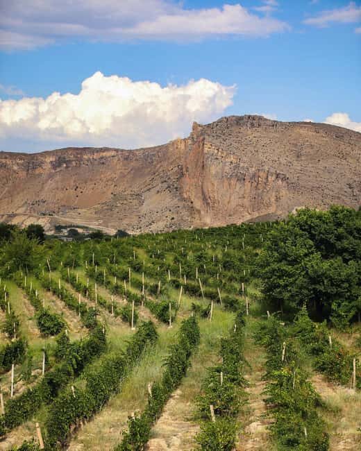 A One-Day Culinary Journey from Yerevan - What You Can Expect from the Tour