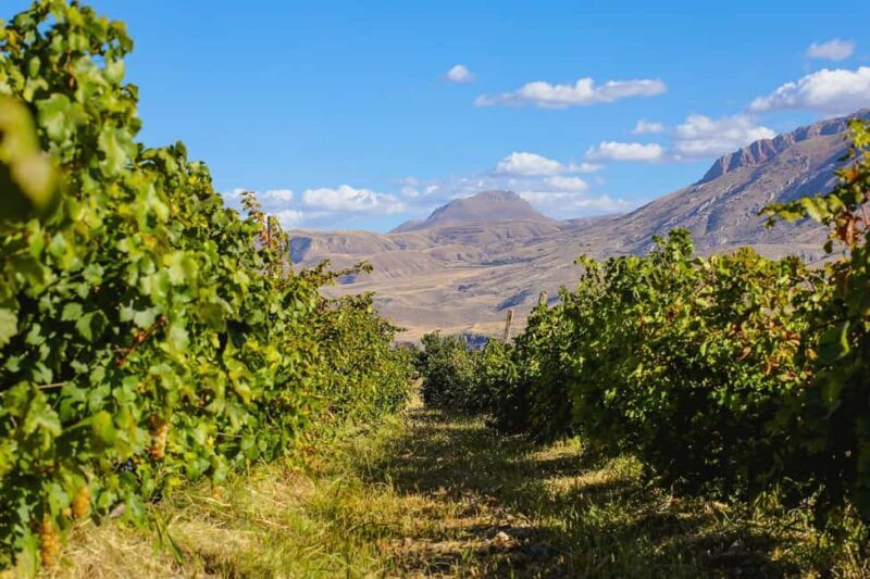 A One-Day Culinary Journey from Yerevan - Transportation and Group Size