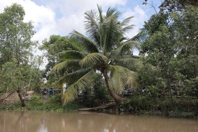 A Premium Journey Through Can Tho Small Canals - Scenic Beauty of Can Tho Canals