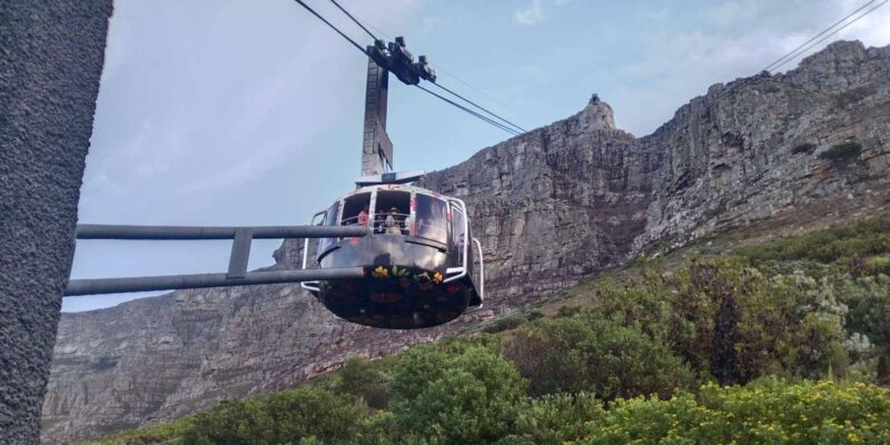 A Private Day Tour of Penguins, Cape Point & Table Mountain - Visiting Boulders Penguin Colony