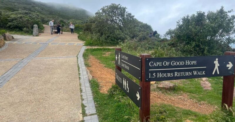 A Private Day Tour of Penguins, Cape Point & Table Mountain - Itinerary Highlights