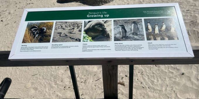 A Private Day Tour of Penguins, Cape Point & Table Mountain - Booking and Cancellation Policy
