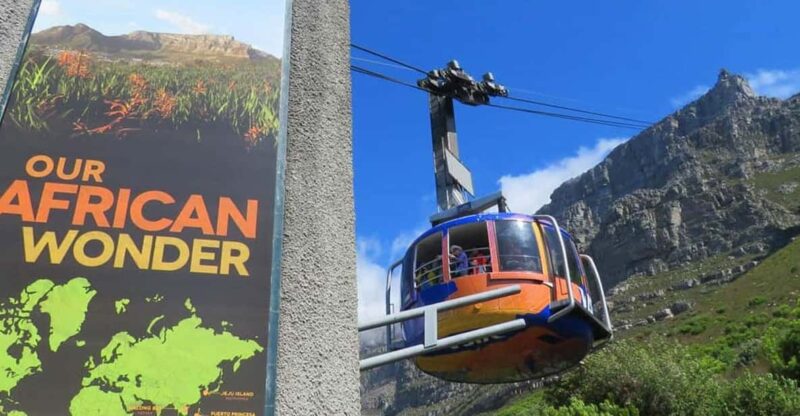 A Private Day Tour of Penguins, Cape Point & Table Mountain - Itinerary Highlights