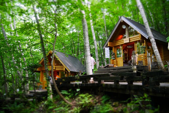 A Relaxing Day for Furano, Biei Blue Pond& Local Curry Lunch in Hokkaido! - Cancellation and Refunds
