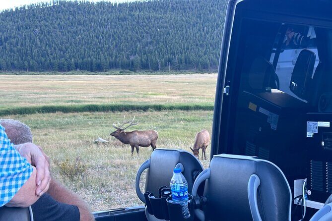 A Rutin' Good Time; Elk Tour in Rocky Mountain National Park - Who Would Love This Tour?