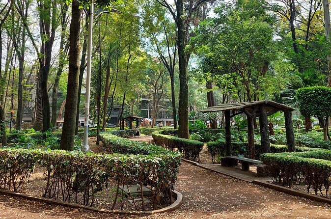 A safe bike ride through culture and taste - FAQs