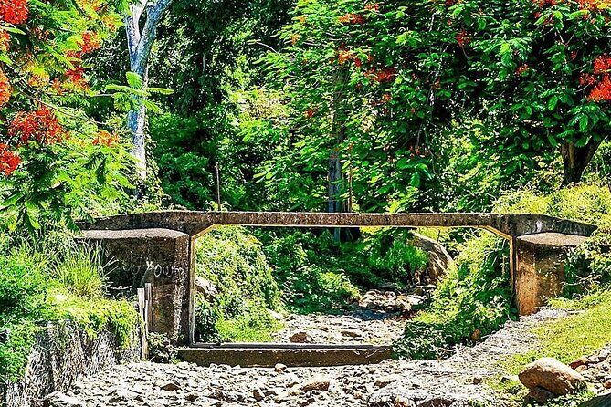 A Scenic, Historical and Guided Rainforest Tour - FAQ