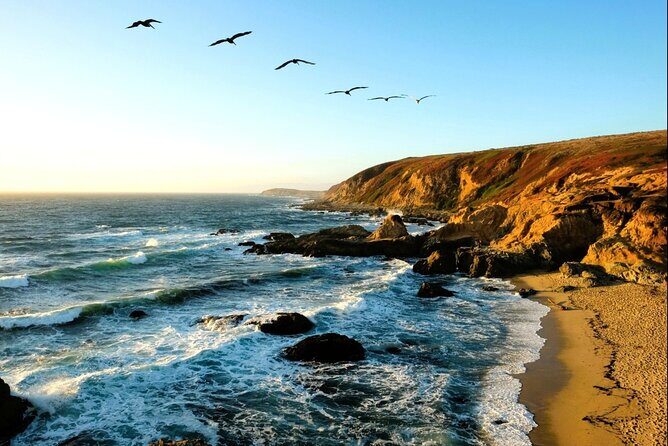 A Self-Guided Audio Tour Around Bodega Head - A Deep Dive into the Bodega Head Experience