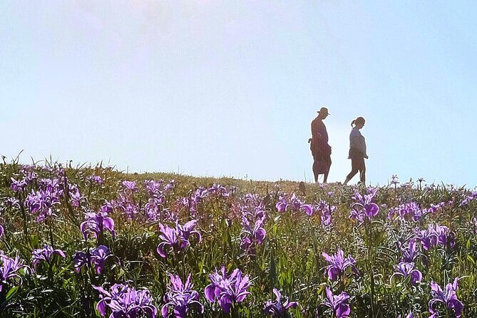 A Self-Guided Audio Tour Around Bodega Head - FAQ