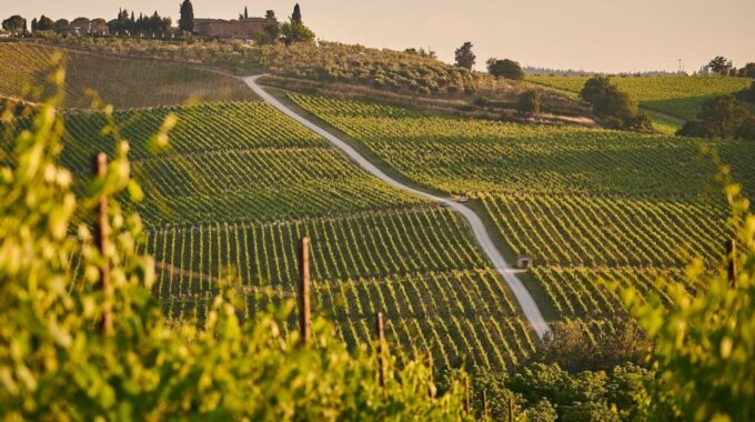 A Sip-By-Sip Tour of 3 Boutique Family Rioja Wineries - Frequently Asked Questions