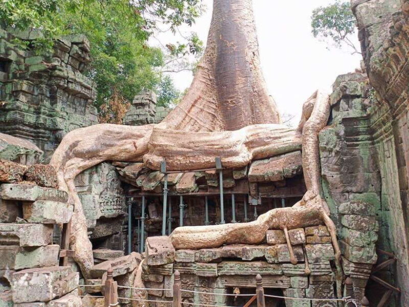 A Small Sharing Tour to Angkor Temples - Why This Tour Offers Good Value