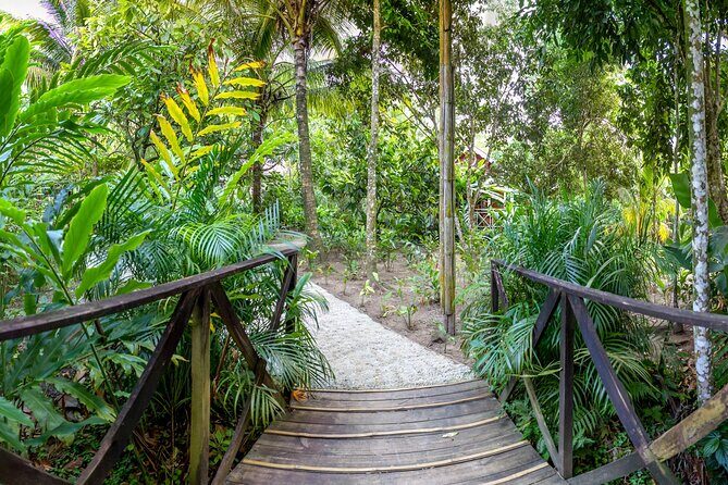 A Taste of Fond Doux Private Walking Tour - Key Points