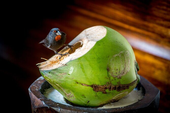 A Taste of Fond Doux Private Walking Tour - Who Is This Tour Best For?