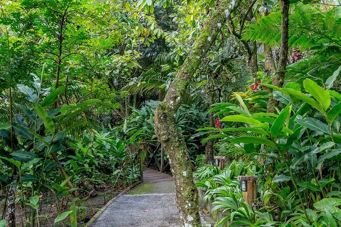 A Taste of Fond Doux Private Walking Tour - FAQ