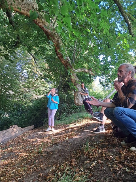 A Tour of Glastonbury - Guided by the Trees - The Climb to Glastonbury Tor