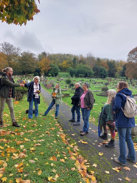 A Tour of Glastonbury - Guided by the Trees - The Sum Up