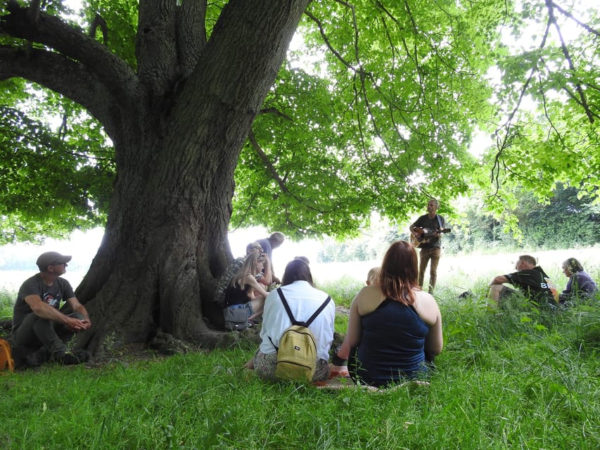 A Tour of Glastonbury - Guided by the Trees - FAQ
