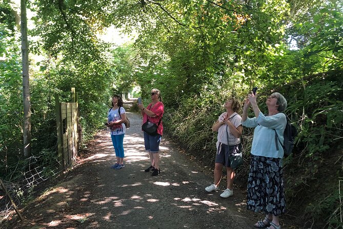 A Tour of Glastonbury, Guided by the Trees. - Enjoying Folk Music