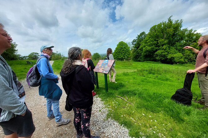 A Tour of Glastonbury, Guided by the Trees. - Flexible Meeting Options