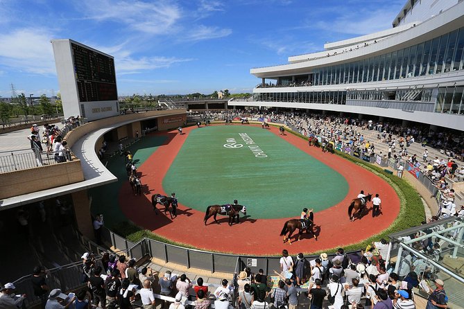 A Tour to Enjoy Japanese Official Gambling (Horse Racing, Bicycle Racing, Pachinko) - Accessibility and Participation Requirements