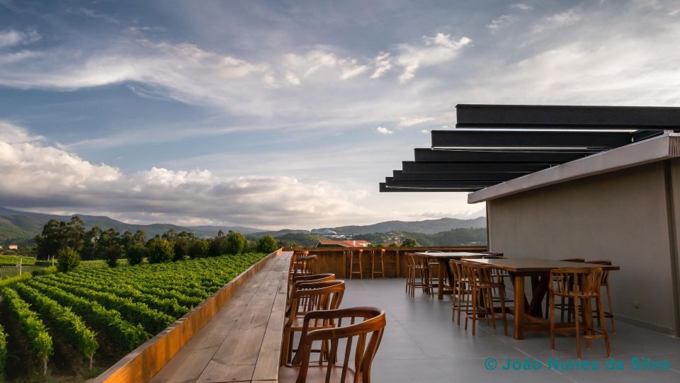 A Trip Through the 'Vinhos Verdes' of the Basto Region - Key Points