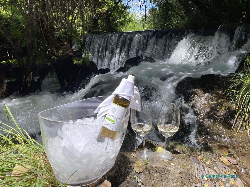 A Trip Through the 'Vinhos Verdes' of the Basto Region - Pricing and Booking Information