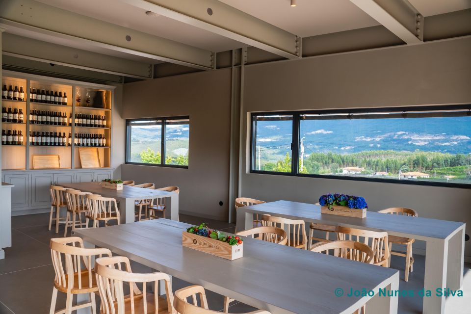 A Trip Through the 'Vinhos Verdes' of the Basto Region - Wine Tasting Details