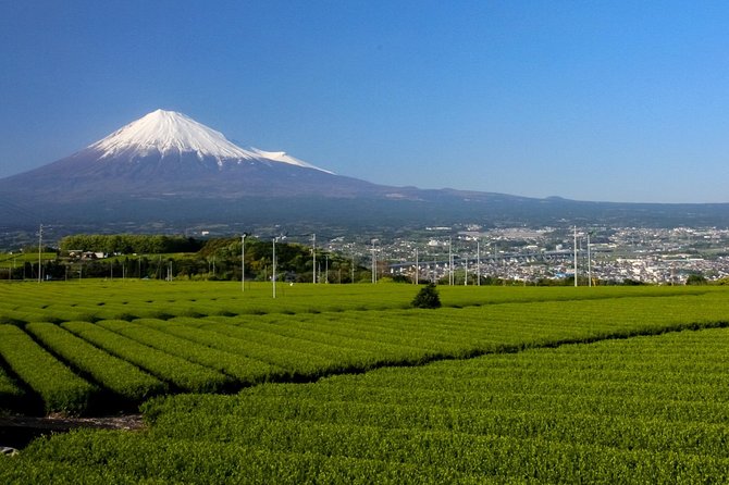 A Trip to Enjoy Subsoil Water and Nature Behind Mt. Fuji - Meals Included