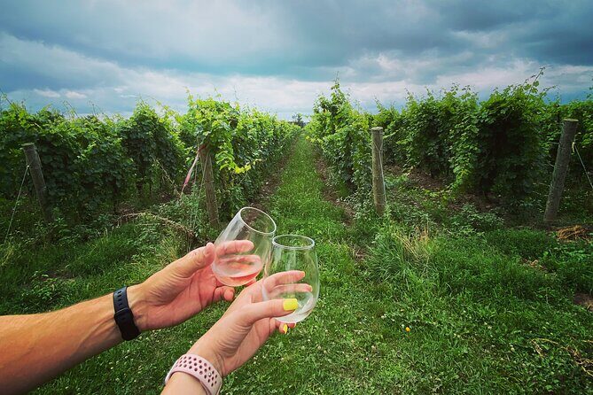 A Twilight Wine Adventure with 3-Course Dinner - An In-Depth Look at the Experience