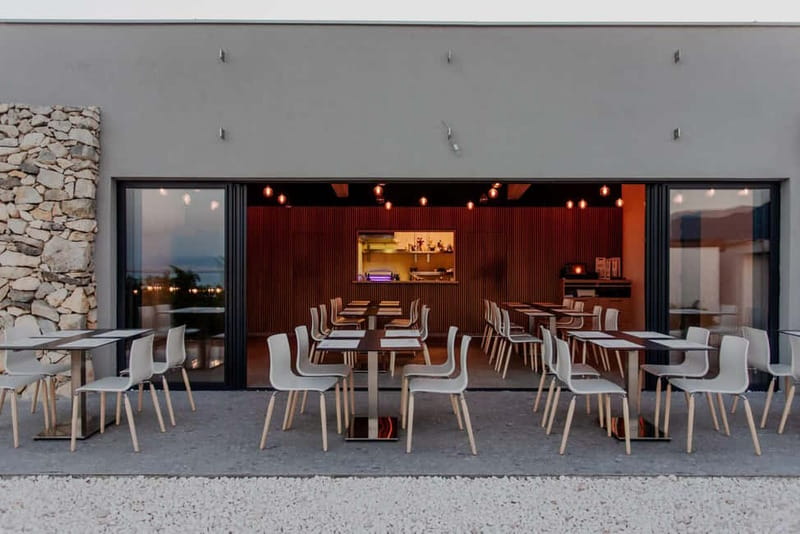 A Vineyard Feast: A Group Dinner and Wine Tasting - Key Points