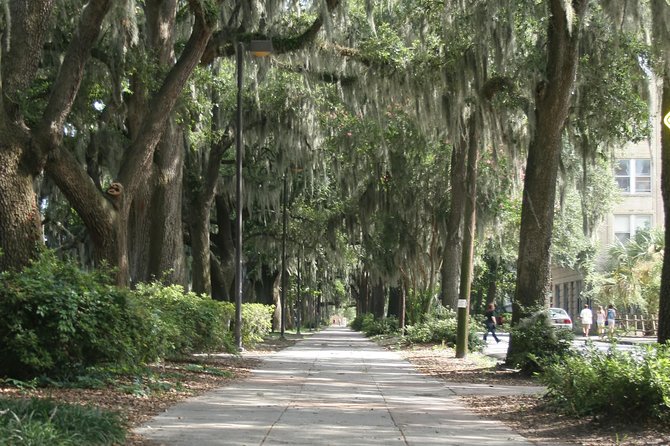 A Walk Through The Book Midnight in the Garden of Good and Evil - Insights for Book Fans