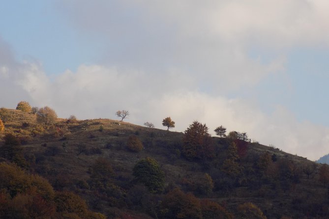 A Walking Over the Jurassic Sea: One Day Trip From Sofia - Immerse in the Serene Wilderness