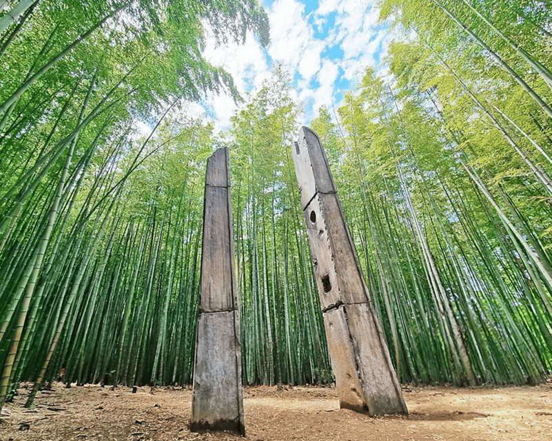 A Well-Rounded Small Group Busan Tour With a Certified Guide - Ahopsan Forest