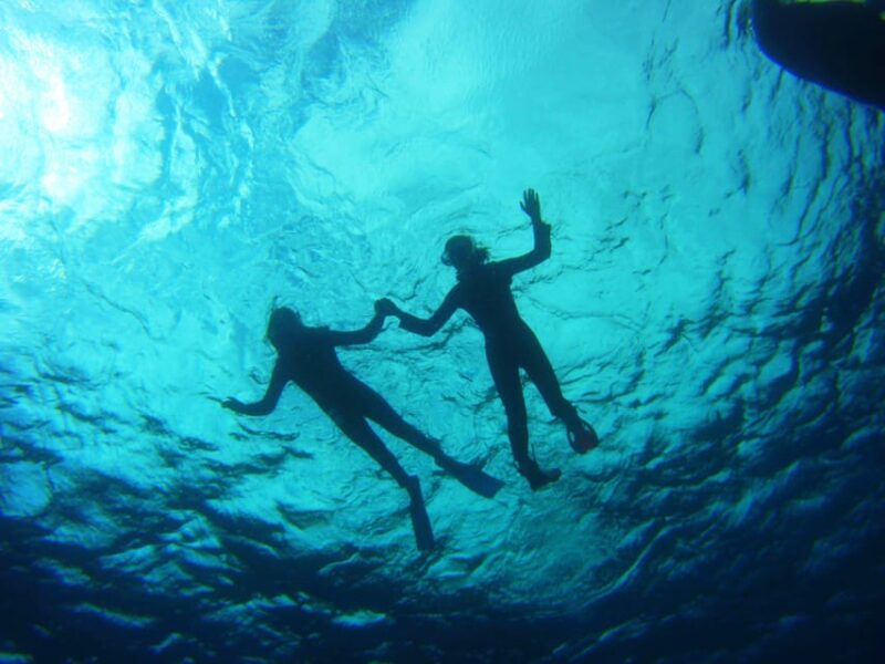 Abades: Paddle Surf and Snorkel With Turtles in a Volcanic Reef - Key Points