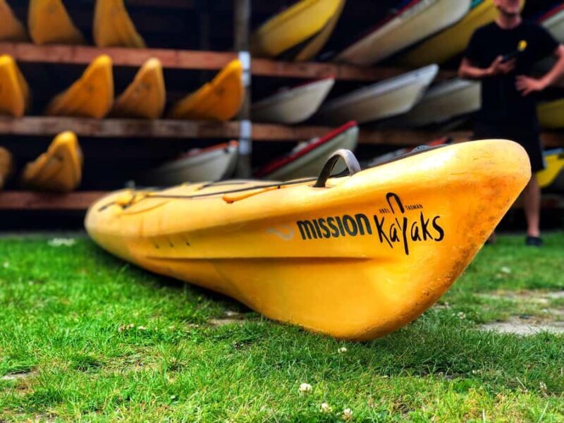 Abel Tasman Kayaks: 1 Day Freedom Kayak Rental - An Authentic Abel Tasman Experience: What to Expect