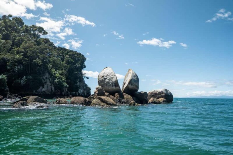 Abel Tasman National Park: Cruise and Hike Full-Day Tour - An Introduction to the Tour